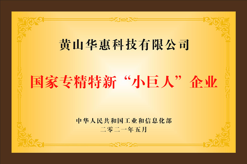 國(guó)家專(zhuān)精特新小巨人企業(yè)
